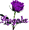 purple rose angela