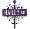 purple street sign hailey LN