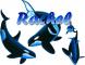 orca whales with name Rachel
