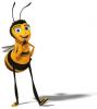 bees life