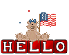 Hello...Patriotic Bear