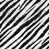 zebra skin 