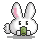 bunny drink drink