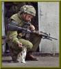 Army Cat