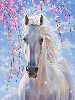 horses with glitter
