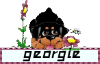 ~ Rotty ~ Georgie