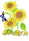 evelyn sun flower