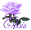 purple rose elvis