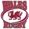 Welsh Rugby the best