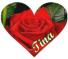 TINA IN A HEART WITH A ROSE