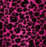 pink leopard