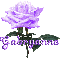 purple rose gabryanne