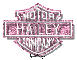 pink harley davidson hailey