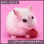 its my raspberry-mouse