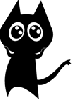 black cat -hello