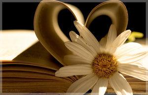 book flower heart