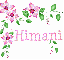 Himani Flowers