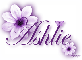 Purple Flower - Ashlie