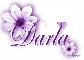Purple Flower - Darla