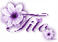 Purple Flower - Tito