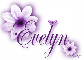 Purple Flower - Evelyn