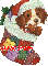 Dog in Christmas Stocking - Jirzie