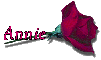 Red Rose - Annie