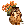 The owl gives roses