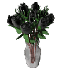 dozen black roses