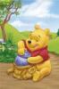 Pooh with hunny