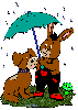 Bunny and Dog - in rain