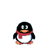 A cute pinguin