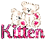 Polar Bears- Kitten