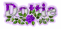 Dottie purple rose