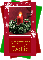 Christmas candle-Dottie