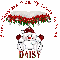 Merry Christmas Daisy