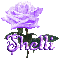 purple rose shelli