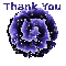Thank You! Rose
