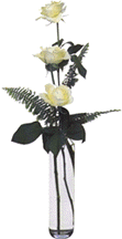 white roses in a vase