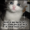 People who hate Cats