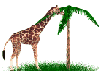 jirafa con palmera