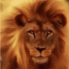 noble lion avatar