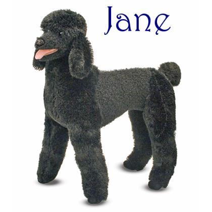 Jane