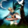 fairy with dove