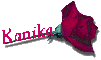 Red Rose - Kanika