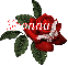 Butterfly Red Rose - Shonna