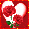 rose heart avatar