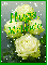 Yellow Roses - Hugs - Melinda