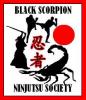 Black Scorpion Ninja