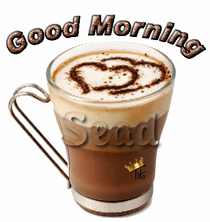 good morning Sead